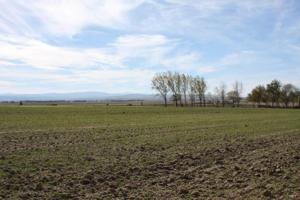 Terreno en venta en Collado de Contreras, Centro photo 0