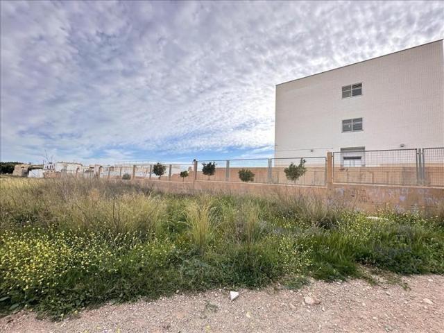 Terreno en venta en El Ejido, Ejido Este photo 0