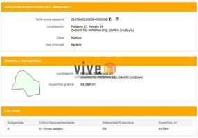 Terreno en venta en Paterna del Campo, Paterna del Campo photo 0