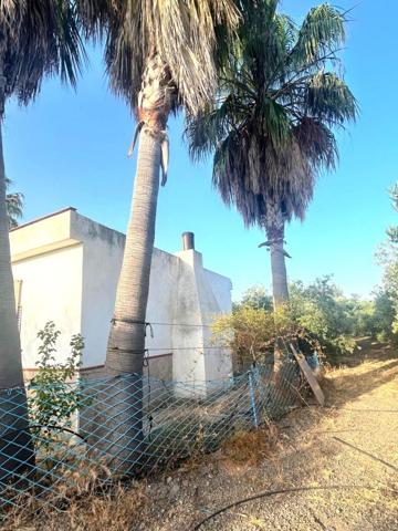 Casa en venta en Alcolea del Río, Alcolea del Río photo 0