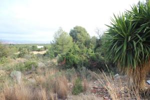 Terreno en venta en Chiva, CALICANTO photo 0