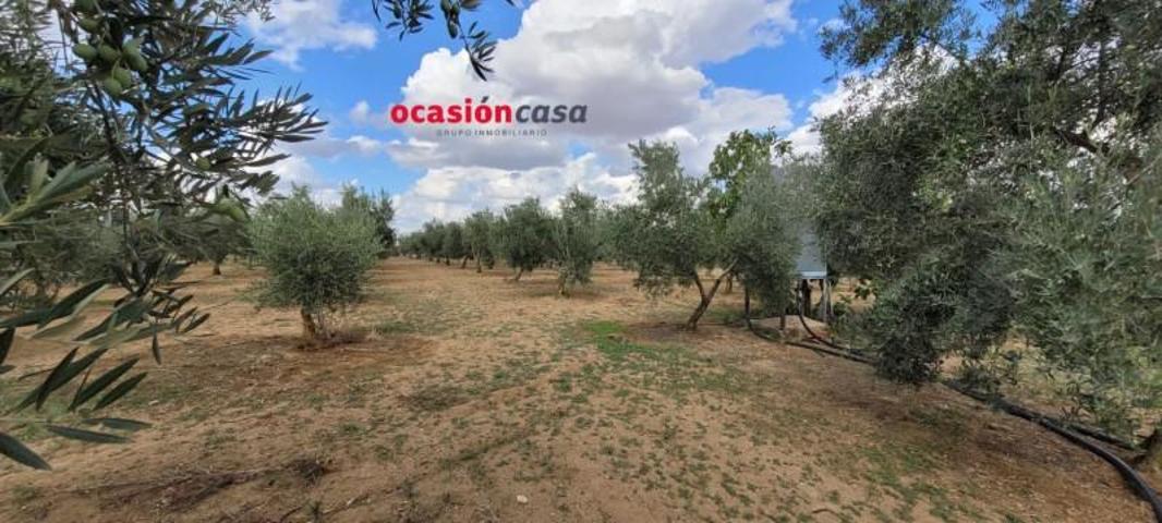 Chalet en venta en Alcaracejos, Alcaracejos photo 0