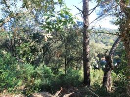 Terreno en venta en Calonge photo 0