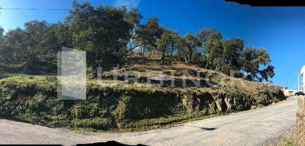 Terreno en venta en San Cibrao das Viñas, Piñeiral photo 0