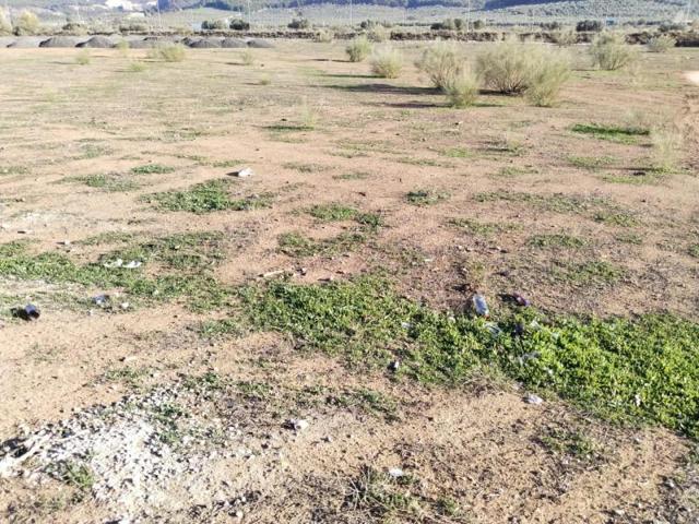 Terreno en venta en Antequera, Polígono - Alrededores - Pedanías photo 0