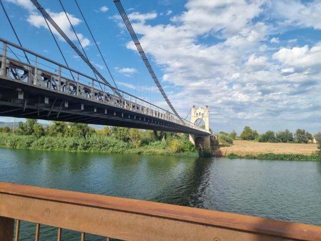 Local comercial en venta en Amposta, Río photo 0