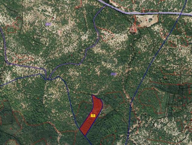 Terreno en venta en Castaño del Robledo, Andalucia photo 0