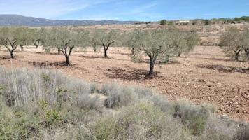 Terreno en venta en Monovar-Monover, Casas juan blanco photo 0