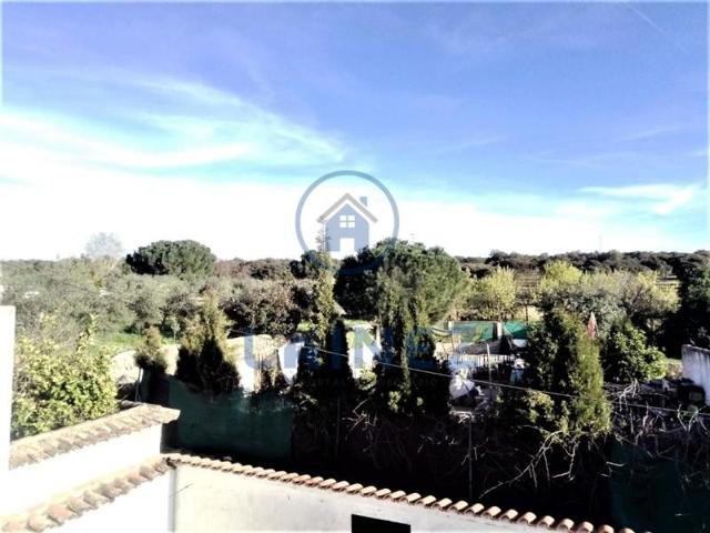 Chalet en venta en Los Pánchez, Fuente Obejuna, Los Panchez photo 0