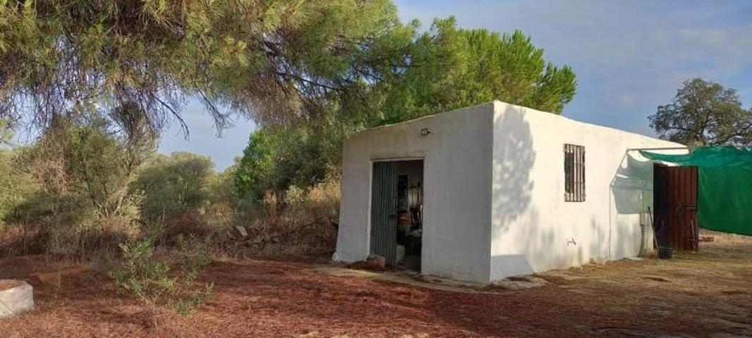 Terreno en venta en Gibraleón, CARRETERA EL PERRUNAL, 21500 photo 0