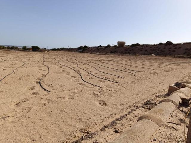 Terreno en venta en Elche, LA MARINA photo 0