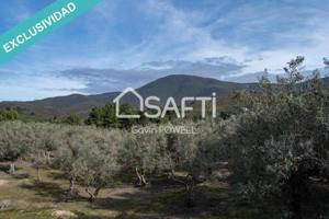 Terreno en venta en Acebo photo 0