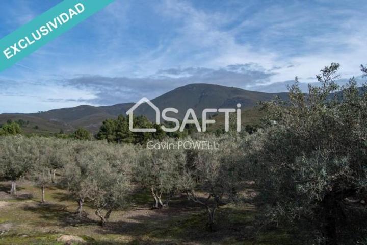 Terreno en venta en Acebo photo 0