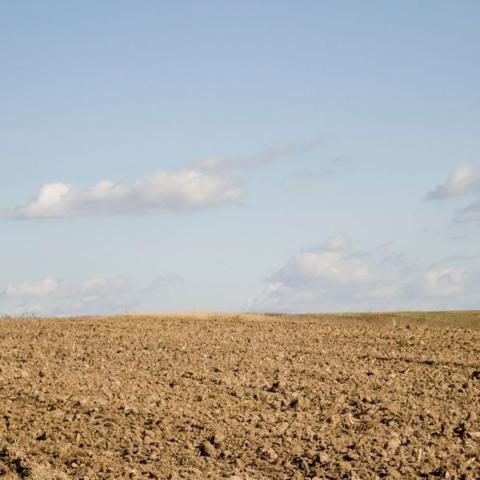 Terreno en venta en Almansa, Almansa photo 0