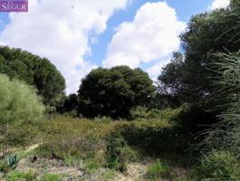 Terreno en venta en Barbate, Zahora photo 0