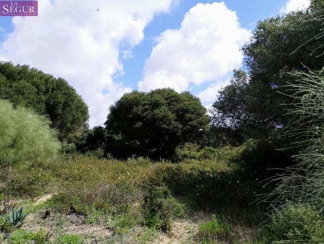 Terreno en venta en Barbate, Zahora photo 0