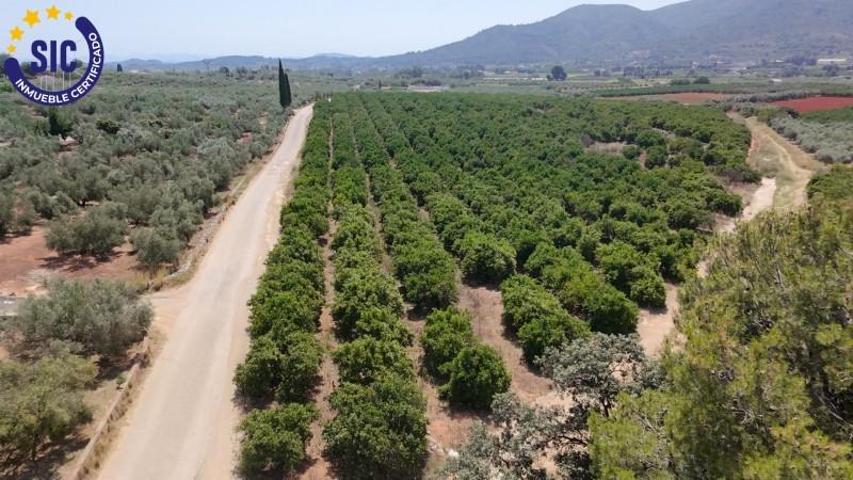 Terreno en venta en Enguera, Enguera photo 0