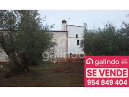 Chalet en venta en Almadén de la Plata photo 0