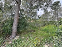Terreno en venta en Mont-roig del Camp, Casalot photo 0
