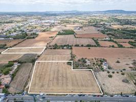 Terreno en venta en Manacor, Manacor photo 0