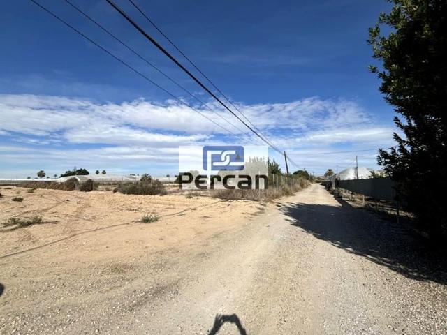 Terreno en venta en Elche, Camí vell de Alacant, 03295 photo 0