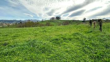 Terreno en venta en Villaescusa, Obregón photo 0