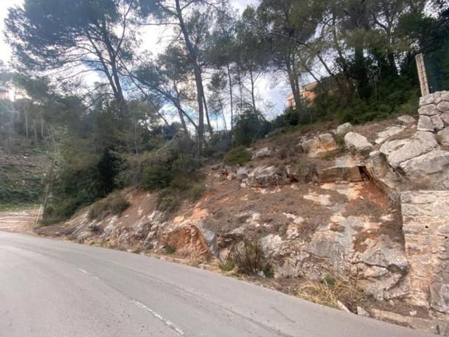Terreno en venta en Castellar del Vallès, - Sant Feliu Racó - photo 0