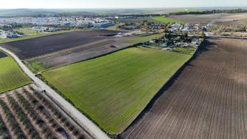Terreno en venta en Las Cabezas de San Juan photo 0