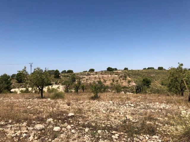 Terreno en venta en Jumilla, ZARZA photo 0