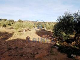 Terreno en venta en La Granjuela photo 0