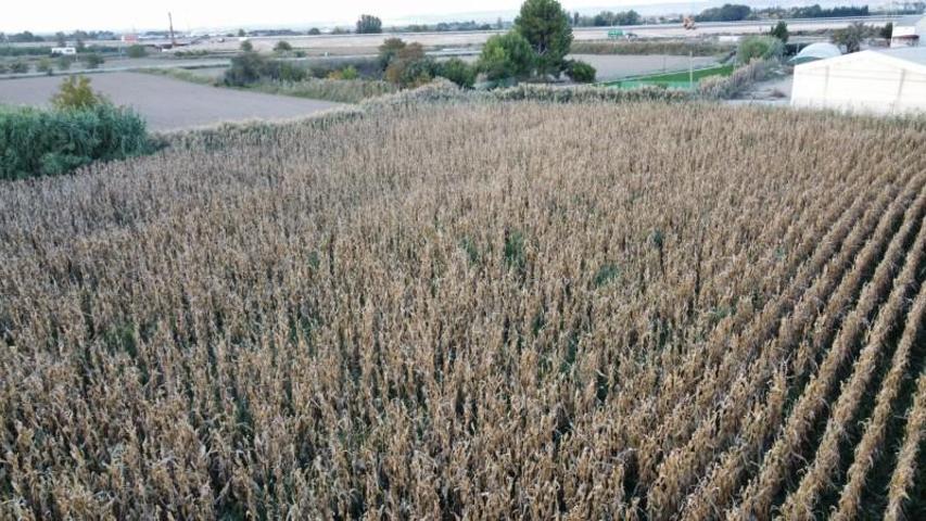 Terreno en venta en Mallén, Mallén photo 0