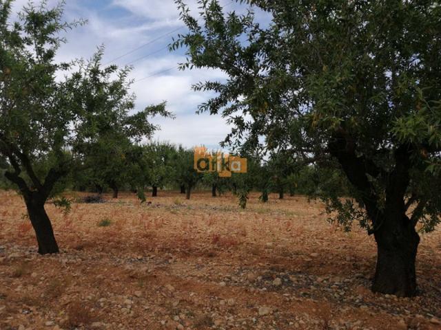 Terreno en venta en Ontinyent, Carretera Valencia photo 0