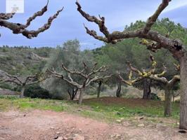 Terreno en venta en Vandellós, Afueras del pueblo photo 0