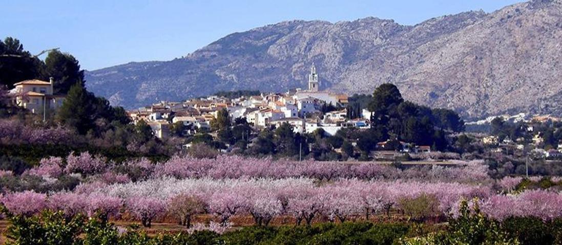 Casa en venta en Parcent, Centro photo 0