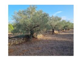Terreno en venta en Castro del Río photo 0