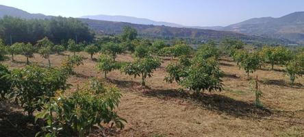 Terreno en venta en Lecrín, South of spain photo 0