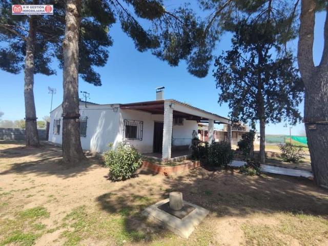 Chalet en venta en Alcázar de San Juan, Castilla la mancha photo 0