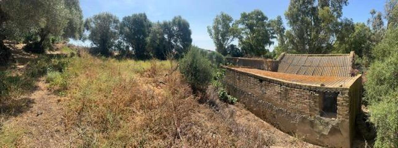 Casa con terreno en venta en Vejer de la Frontera, Costa de la luz photo 0