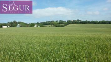 Terreno en venta en Vejer de la Frontera, Abejaruco photo 0