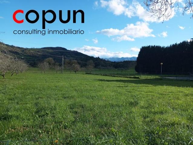 Terreno en venta en Candamo, Candamo photo 0