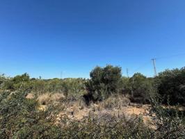 Terreno en venta en El Vendrell, El tancat photo 0
