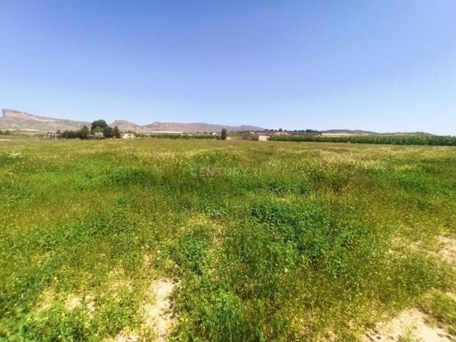 Terreno en venta en Jumilla, Jumilla photo 0