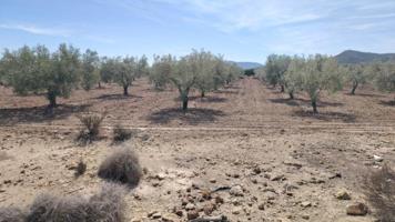 Terreno en venta en Monovar-Monover, Casas del Señor photo 0