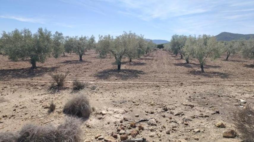 Terreno en venta en Monovar-Monover, Casas del Señor photo 0