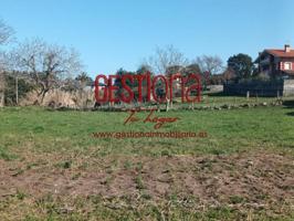 Terreno en venta en Arnuero, Soano photo 0