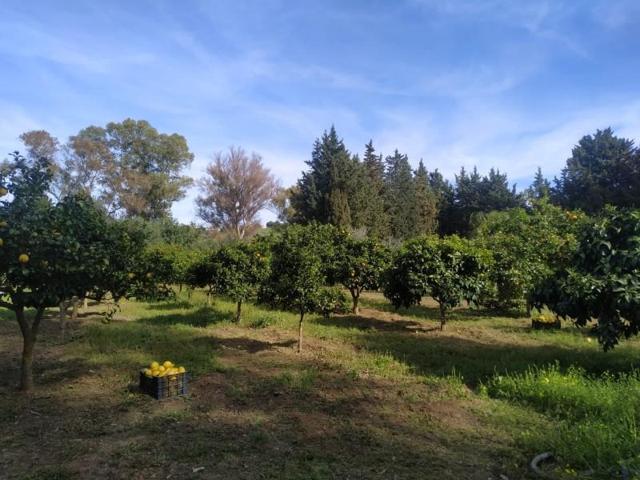 Terreno en venta en Jimena de la Frontera, Jimena De La Fronter photo 0