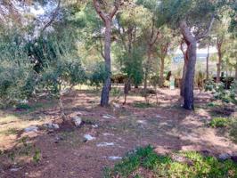 Terreno en venta en Roda de Barà, Eixample Residencial photo 0