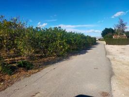 Terreno en venta en Elche, Asprillas photo 0