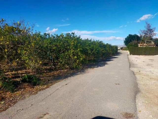 Terreno en venta en Elche, Asprillas photo 0