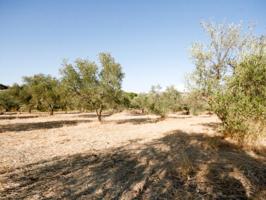 Chalet en venta en Coín photo 0